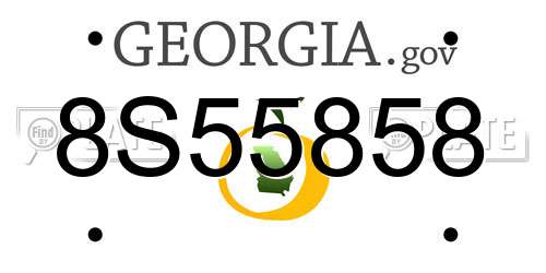 8S55858 Georgia License Plate