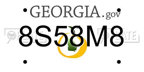 8S58M8 Georgia License Plate