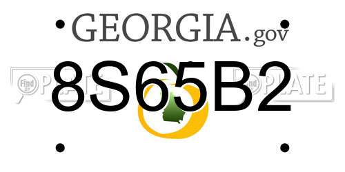 8S65B2 Georgia License Plate
