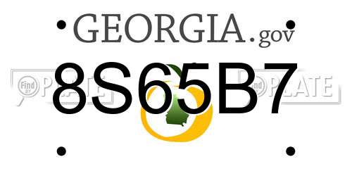 8S65B7 Georgia License Plate