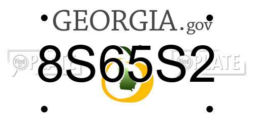 8S65S2 Georgia License Plate