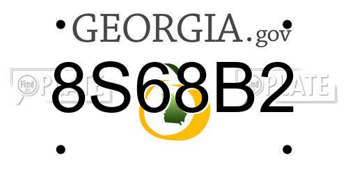 8S68B2 Georgia License Plate
