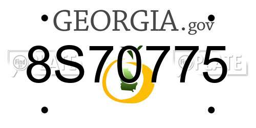 8S70775 Georgia License Plate