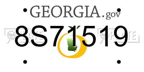 8S71519 Georgia License Plate