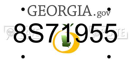 8S71955 Georgia License Plate