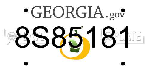 8S85181 Georgia License Plate