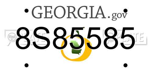 8S85585 Georgia License Plate