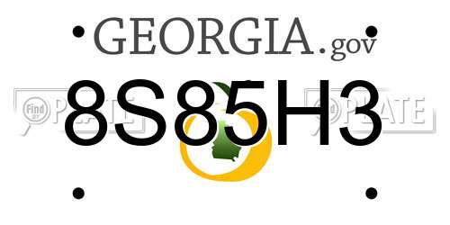 8S85H3 Georgia License Plate