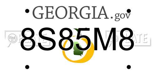 8S85M8 Georgia License Plate