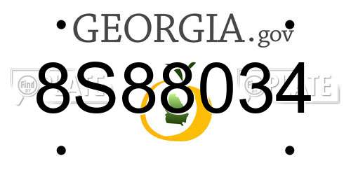 8S88034 Georgia License Plate