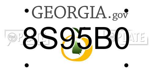 8S95B0 Georgia License Plate