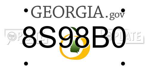 8S98B0 Georgia License Plate