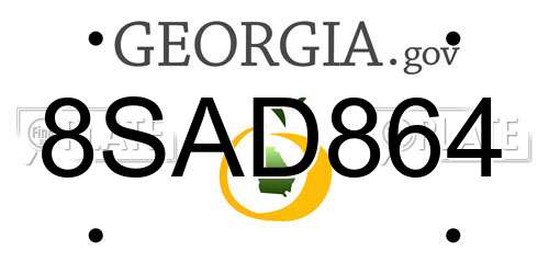 8SAD864 Georgia License Plate