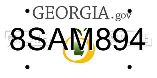 8SAM894 Georgia License Plate