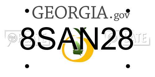 8SAN28 Georgia License Plate