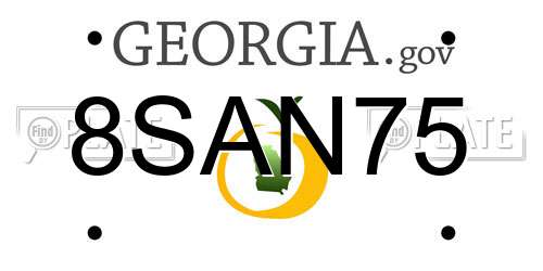8SAN75 Georgia License Plate