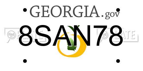 8SAN78 Georgia License Plate
