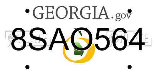 8SAO564 Georgia License Plate