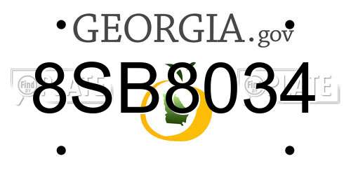 8SB8034 Georgia License Plate