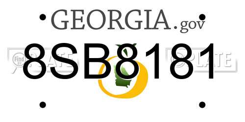 8SB8181 Georgia License Plate