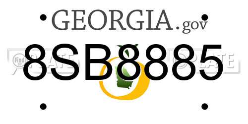 8SB8885 Georgia License Plate