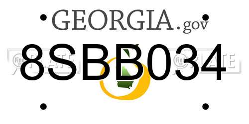 8SBB034 Georgia License Plate