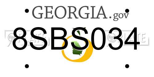 8SBS034 Georgia License Plate