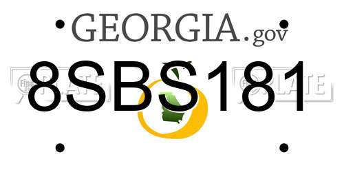 8SBS181 Georgia License Plate