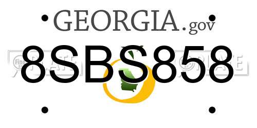 8SBS858 Georgia License Plate
