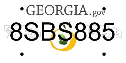 8SBS885 Georgia License Plate