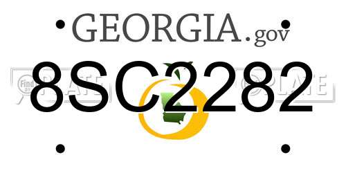 8SC2282 Georgia License Plate