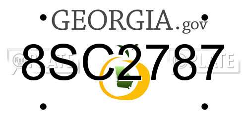 8SC2787 Georgia License Plate