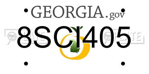 8SCI405 Georgia License Plate
