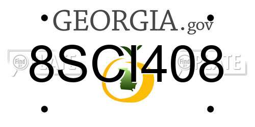 8SCI408 Georgia License Plate