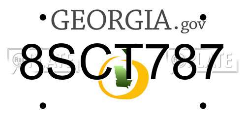 8SCT787 Georgia License Plate