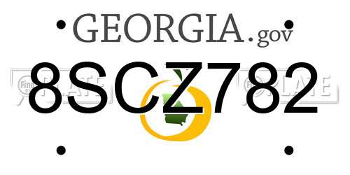 8SCZ782 Georgia License Plate