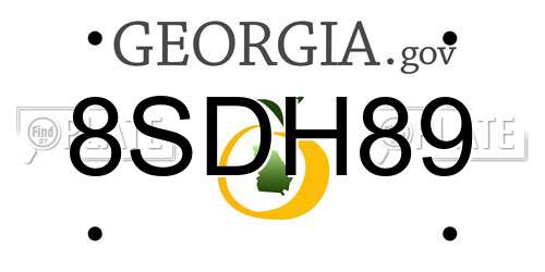 8SDH89 Georgia License Plate