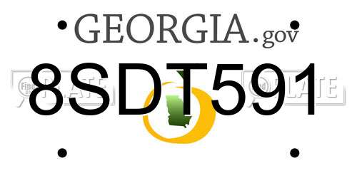 8SDT591 Georgia License Plate