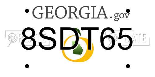 8SDT65 Georgia License Plate