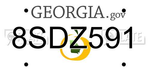 8SDZ591 Georgia License Plate