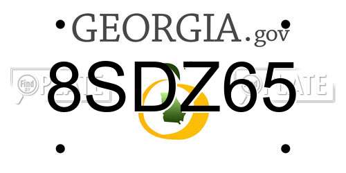 8SDZ65 Georgia License Plate