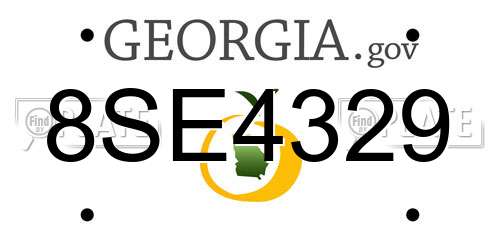 8SE4329 Georgia License Plate