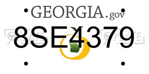 8SE4379 Georgia License Plate