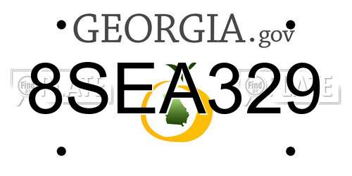 8SEA329 Georgia License Plate