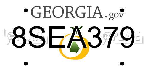 8SEA379 Georgia License Plate