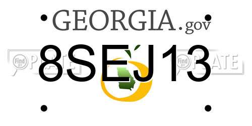 8SEJ13 Georgia License Plate