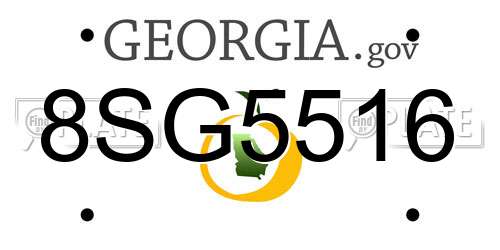 8SG5516 Georgia License Plate