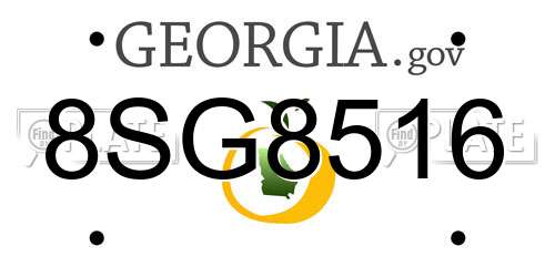8SG8516 Georgia License Plate