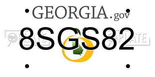 8SGS82 Georgia License Plate