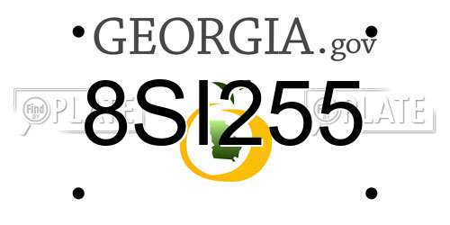8SI255 Georgia License Plate